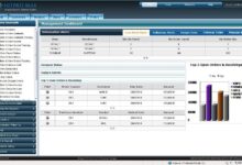 erp migration services