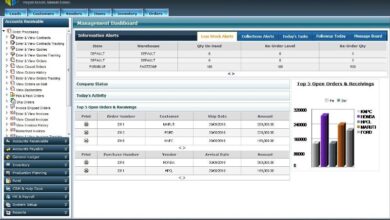 erp migration services