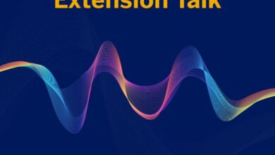 SAP consultant rates